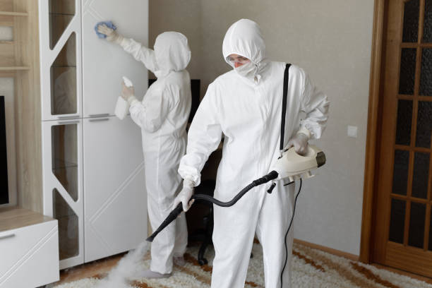 Best Post-Flood Mold Remediation in Emerd Mountain, AL